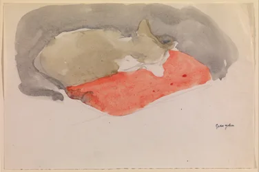 Cat Sleeping on a Red Cushion