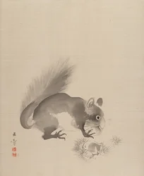Squirrel Eating Chestnuts