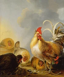 A Group of Farmyard Fowl