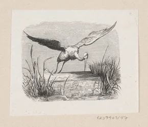Illustration for "The Storks" in H.C. Andersen