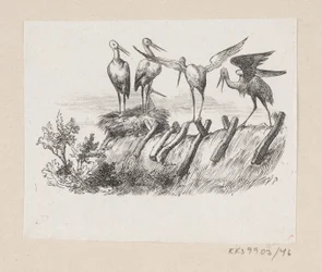 Illustration for 