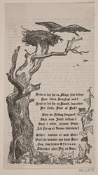 Framing with Stork