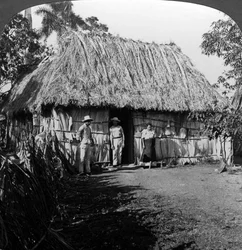 A Home in the Interior of the Island of Cuba