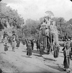 Lord and Lady Harding Riding an Elephant, India, 1913