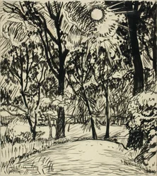 Sun-lit Path