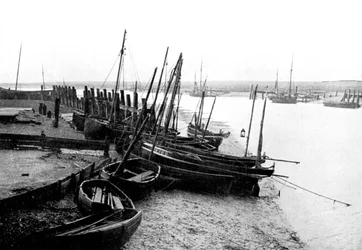 Rye Harbour, East Sussex, England