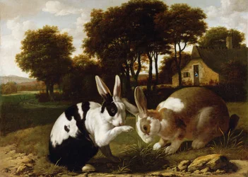 Two Rabbits in a Landscape