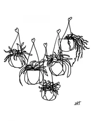 Minimalist Hanging Plants