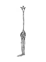 Whimsical Tall Giraffe Drawing
