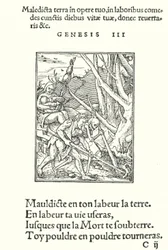The Curse upon Earth and on Man