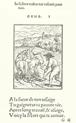 The Ploughman, or Farmer (engraving)