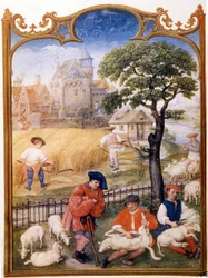 Field work, shear sheep and peasants mow wheat. Thumbnail assigned to Memling. Plate drawn from the Breviaire Grimani of the 15th century. Biblioteca Marciana, Venice