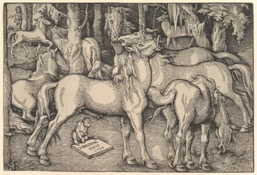 Group of Seven Horses