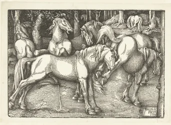 Group of Six Fighting Horses