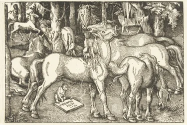 Group of Seven Horses and a Monkey
