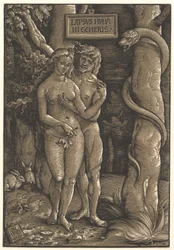 The Fall of Mankind, 1511
