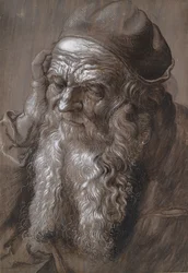 An Old Man Aged 93 St Jerome