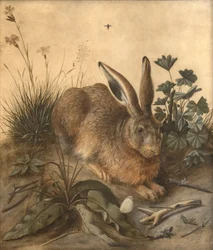 The Hare