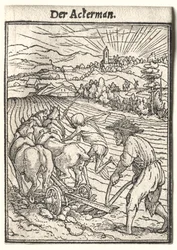 Dance of Death: The Ploughman