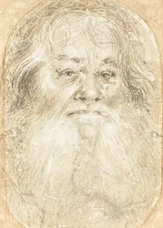 Study of a Bearded Man