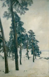 From Bogstad Lake