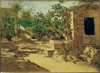 Cactus with Hut
