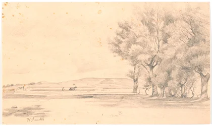 Landscape with Plowed Field; Tall Trees on the Right