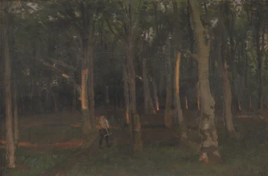 Forest at Sunset
