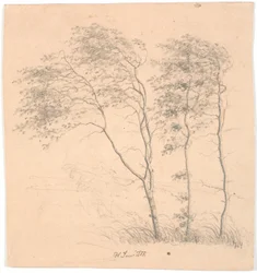 Three Trees