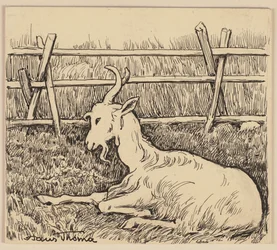 Drawing for the Primer: Goat