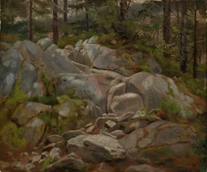 Rock Blocks with Fir Trunks