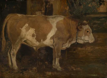 Ox in the Forest