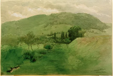 Black Forest Landscape