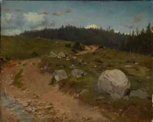 Rocky Path at the Forest Edge