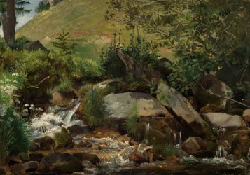 Meadow Stream with Bushes and Grasses