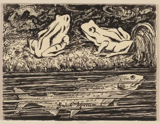 Drawing for a Primer: Frog