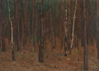 Forest Interior