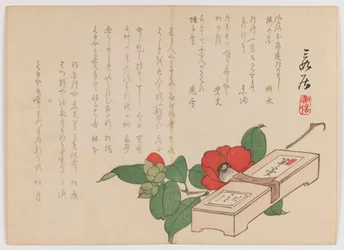 Camellia with Sweets Box (Yokan)