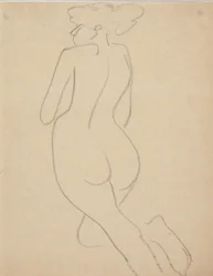 Model Seen from the Back