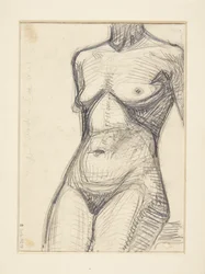 Torso of Female Model