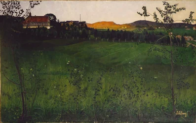 Mature Field