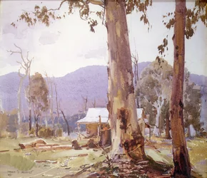 The Settler