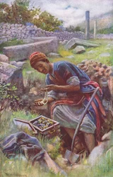 The hidden treasure, illustration from Harold Copping Pictures: The Crown Series, c.1920s
