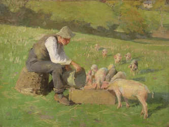 Feeding Time