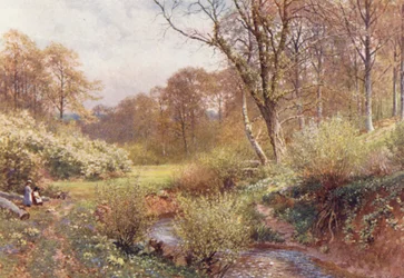 In Spring Woods, Ockley