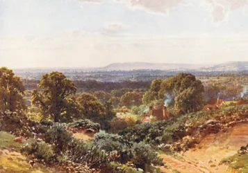 Sandhills, looking towards Blackdown