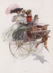 Young American woman riding in a gig or similar one horse carriage in Ireland
