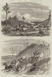 Bush Life in Queensland