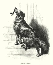 Chum and the Bell (engraving)