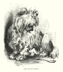 Gipsy and the Chicken (engraving)